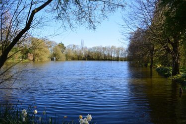 Terrains de loisirs bois etangs a vendre Bouère 53290 Mayenne 16370 m2  85600 euros