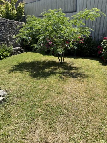 Maison a vendre Vannes 56000 Morbihan 125 m2 6 pièces 728900 euros