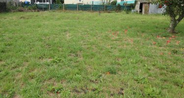 Terrain a batir a vendre Locminé 56500 Morbihan 400 m2  58600 euros