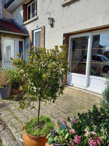 Location maison Brevans 39100 Jura 90 m2 5 pièces 1050 euros