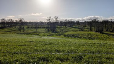 Terrains de loisirs bois etangs a vendre Percy-en-Normandie 50410 Manche 45020 m2  38592 euros