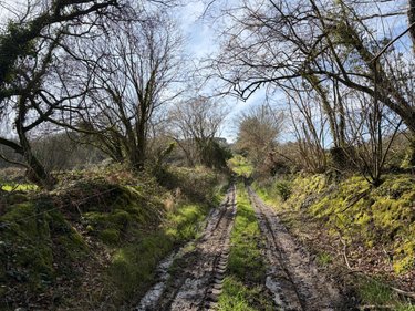Terrains de loisirs bois etangs a vendre Pleyber-Christ 29410 Finistère 37739 m2  18000 euros