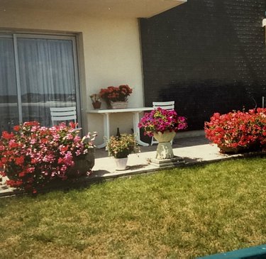 Maison a vendre Ploemeur 56270 Morbihan 40 m2 2 pièces 343320 euros