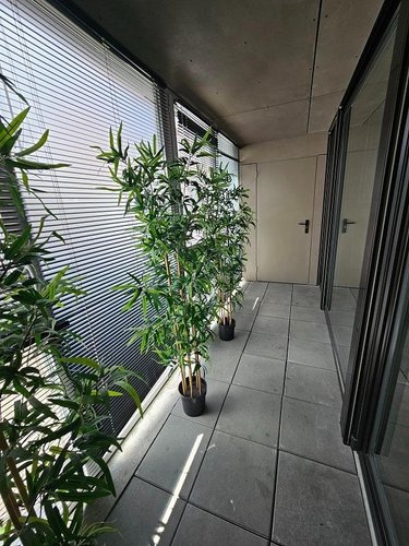 Location appartement Lille 59000 Nord 45 m2  815 euros