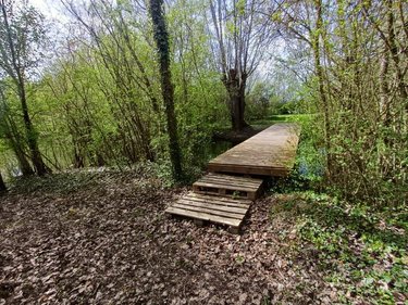 Terrains de loisirs bois etangs a vendre Amiens 80000 Somme 31288 m2  155000 euros