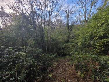 Terrains de loisirs bois etangs a vendre Rosporden 29140 Finistère 226898 m2  128000 euros
