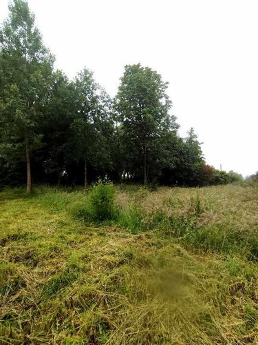Terrain a batir a vendre Aire-sur-la-Lys 62120 Pas-de-Calais 1540 m2  89250 euros
