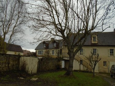Location maison Louvigny 14111 Calvados 61 m2 3 pièces 800 euros