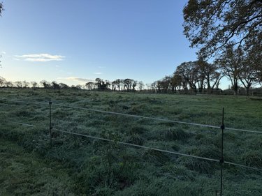 Maison a vendre Surzur 56450 Morbihan 185 m2 6 pièces 795200 euros