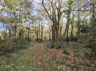 Terrains de loisirs bois etangs a vendre Moustoir-Ac 56500 Morbihan 24038 m2  15100 euros