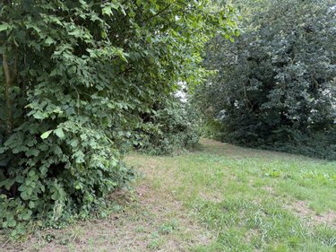 Maison a vendre Ménéac 56490 Morbihan 50 m2  53960 euros