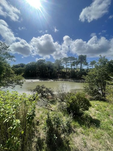 Maison a vendre Plougoumelen 56400 Morbihan 124 m2 5 pièces 445000 euros