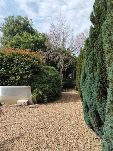 Terrains de loisirs bois etangs a vendre Neuville-sur-Sarthe 72190 Sarthe 470 m2  58300 euros