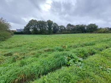 Terrain a batir a vendre Scrignac 29640 Finistère 3565 m2  27500 euros