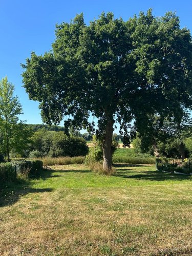 Terrain a batir a vendre Québriac 35190 Ille-et-Vilaine 498 m2  71430 euros
