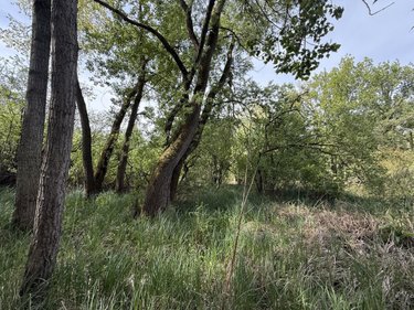 Terrains de loisirs bois etangs a vendre Daours 80800 Somme 7080 m2  28000 euros