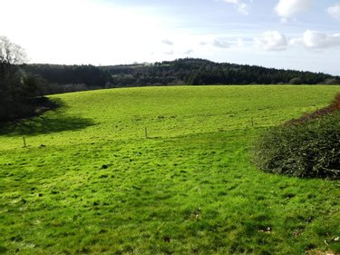 Maison a vendre Langoëlan 56160 Morbihan 280 m2 10 pièces 549880 euros