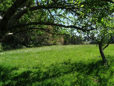 Maison a vendre Maisoncelles-du-Maine 53170 Mayenne 232 m2 9 pièces 397400 euros