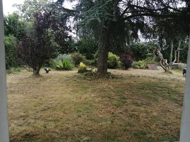 Maison a vendre Saint-Connec 22530 Côtes-d'Armor 87 m2 3 pièces 115400 euros