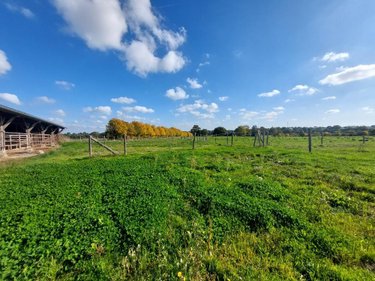 Terrains de loisirs bois etangs a vendre Méral 53230 Mayenne 36115 m2  63600 euros