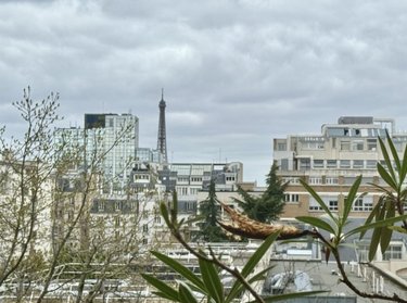 Appartement a vendre Paris 15e arrondissement 75015 Paris 98 m2 4 pièces 960000 euros