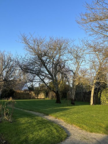 Maison a vendre La Forêt-Fouesnant 29940 Finistère 112 m2 5 pièces 376200 euros