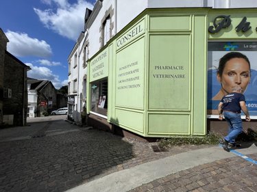 Fonds et murs commerciaux a vendre Locminé 56500 Morbihan 290 m2  230080 euros