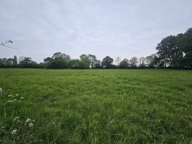 Terrains de loisirs bois etangs a vendre Oudezeele 59670 Nord 14373 m2  46000 euros