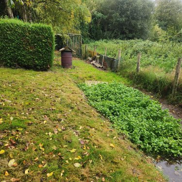 Terrains de loisirs bois etangs a vendre Lamnay 72320 Sarthe 1185 m2  9300 euros