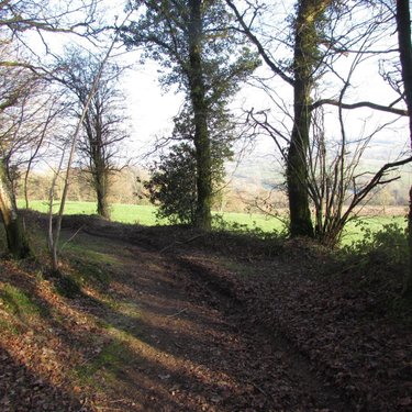 Terrains de loisirs bois etangs a vendre Saint-Vigor-des-Monts 50420 Manche 10923 m2  7800 euros