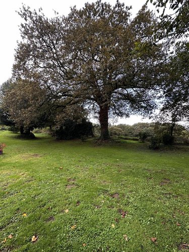 Maison a vendre Theix-Noyalo 56450 Morbihan 360 m2 9 pièces 1135743 euros