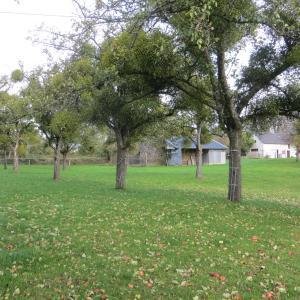 Maison a vendre Courson 14380 Calvados 66 m2 3 pièces 104325 euros