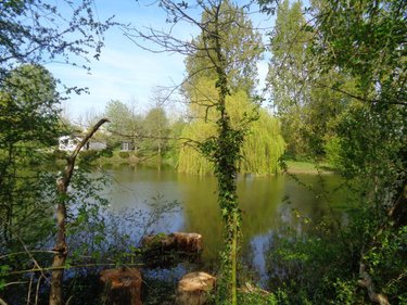 Terrains de loisirs bois etangs a vendre Annezin 62232 Pas-de-Calais 7918 m2  136500 euros