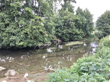 Terrains de loisirs bois etangs a vendre Chevillé 72350 Sarthe 56080 m2  31030 euros
