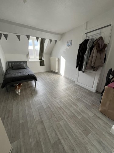 Viager immeuble de rapport Dole 39100 Jura 172 m2  50000 euros