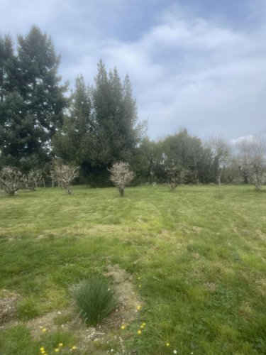 Location maison Reugny 37380 Indre-et-Loire 91 m2 4 pièces 1100 euros