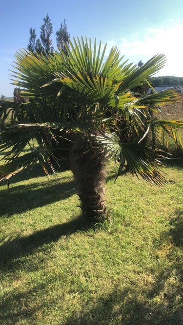 Terrains de loisirs bois etangs a vendre Kerlouan 29890 Finistère 800 m2  33600 euros