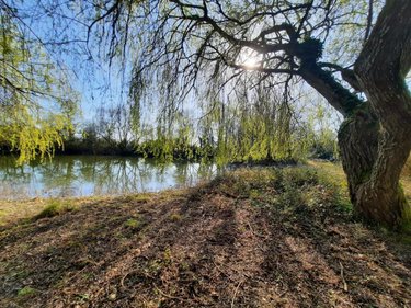 Terrains de loisirs bois etangs a vendre Challans 85300 Vendée 9948 m2  32800 euros