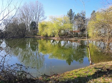 Terrains de loisirs bois etangs a vendre Challans 85300 Vendée 9948 m2  32800 euros