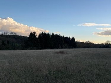 Terrains de loisirs bois etangs a vendre Saint-Germain-d'Aunay 61470 Orne 66140 m2  84200 euros