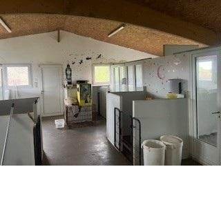 Divers a vendre Cruguel 56420 Morbihan 1 m2  210260 euros