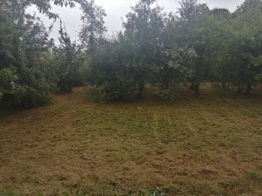 Maison a vendre Saint-Connec 22530 Côtes-d'Armor 87 m2 3 pièces 115400 euros