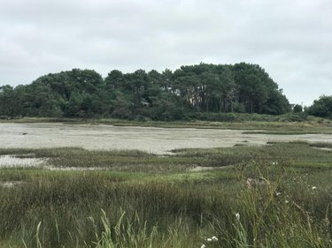 Maison a vendre Plouhinec 56680 Morbihan 80 m2 5 pièces 468000 euros