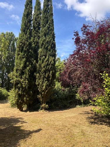 Terrain a batir a vendre Crouzilles 37220 Indre-et-Loire 2334 m2  33600 euros