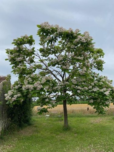 Maison a vendre Chezelles 37220 Indre-et-Loire 141 m2 5 pièces 169600 euros