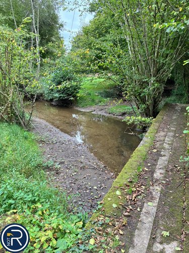 Terrains de loisirs bois etangs a vendre Montaudin 53220 Mayenne 2522 m2  13500 euros