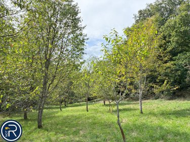 Maison a vendre Argentré 53210 Mayenne 287 m2  322400 euros