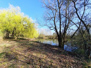 Terrains de loisirs bois etangs a vendre Challans 85300 Vendée 9948 m2  32800 euros