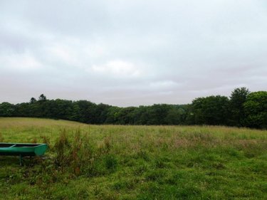 Terrains de loisirs bois etangs a vendre Plouray 56770 Morbihan 28430 m2  15990 euros