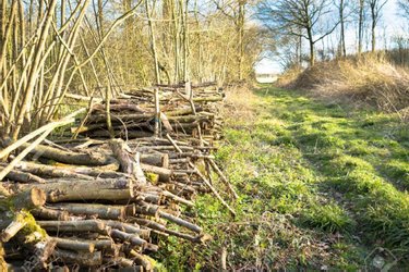 Terrains de loisirs bois etangs a vendre Bussy-Lettrée 51320 Marne 15372 m2  15000 euros